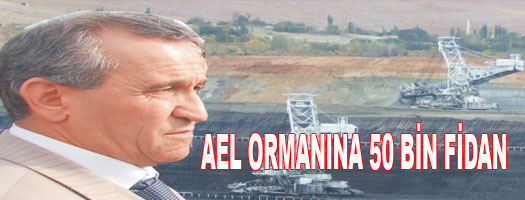 AEL ORMANINA 50 BİN FİDAN